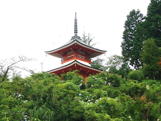 樹木葬霊園 憩い