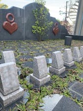 「浄円寺墓苑」樹木葬・永代供養付墓所の画像