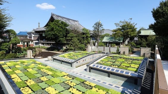 自由が丘樹林霊園 パドマ