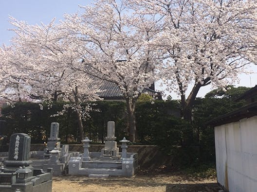 上越の樹木葬墓苑 はなみずき