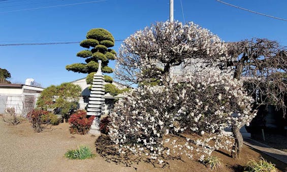 徳宝院 のうこつぼ