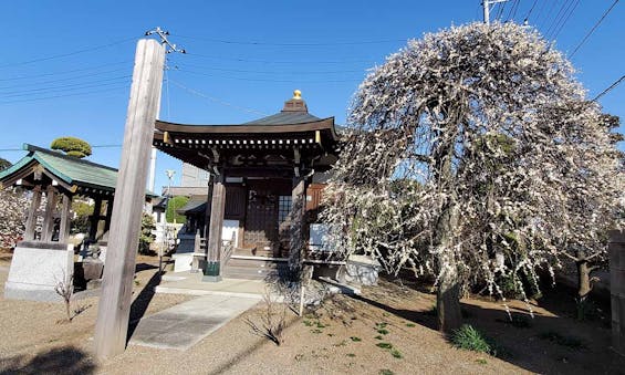 徳宝院 のうこつぼ