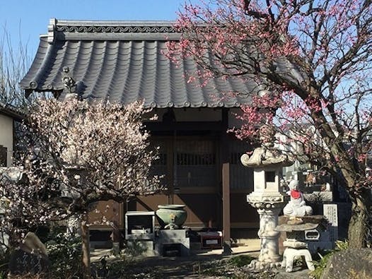 宝性寺 のうこつぼ