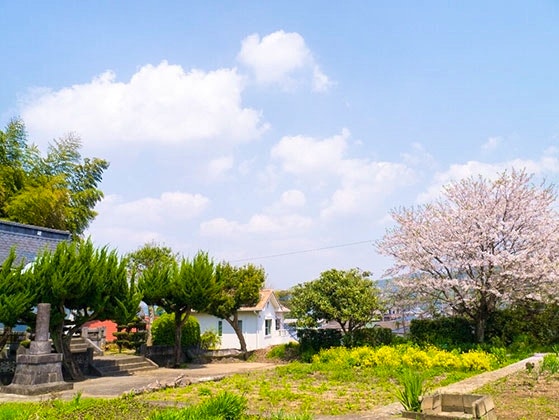 金井寺 のうこつぼ