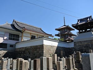 圓妙寺 のうこつぼの画像