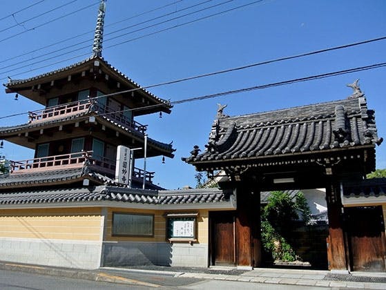 圓妙寺 のうこつぼ