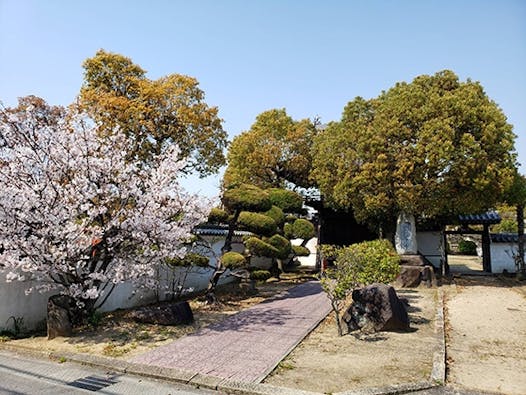 蓮花寺 のうこつぼ