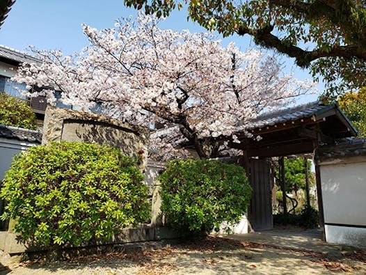 蓮花寺 のうこつぼ