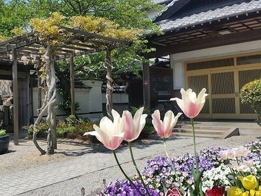 蓮花寺 のうこつぼ