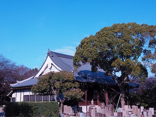 大寶寺 のうこつぼ