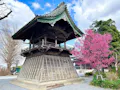 報国寺 のうこつぼ