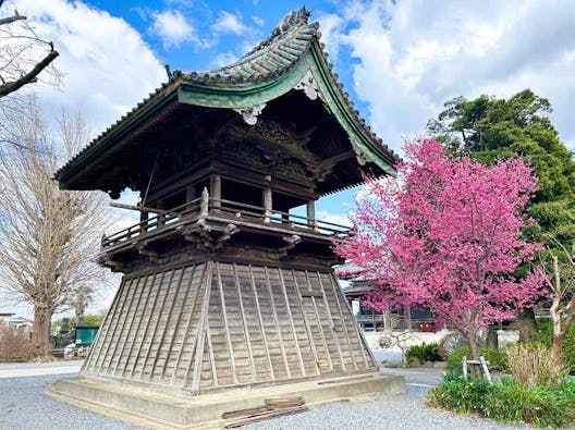 報国寺 のうこつぼ