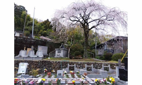 プレミアム愛川の里樹木葬墓地