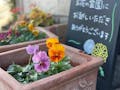 グランディアメモリアル横浜 園内には季節の花々で満ちており、小鳥のさえずりを聴きながらお参りできます。