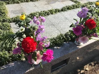 所沢市・入間市 樹木葬「アルベリ」