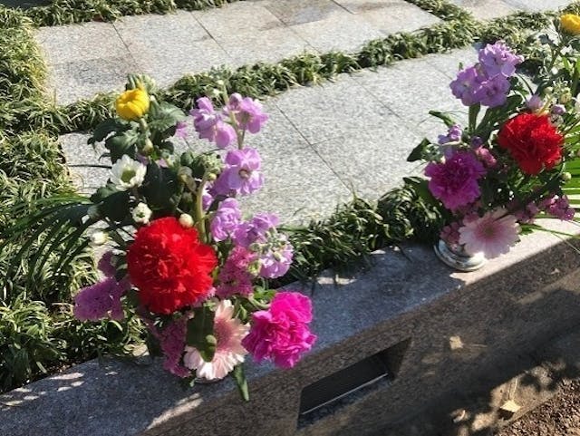 所沢市・入間市 樹木葬「アルベリ」