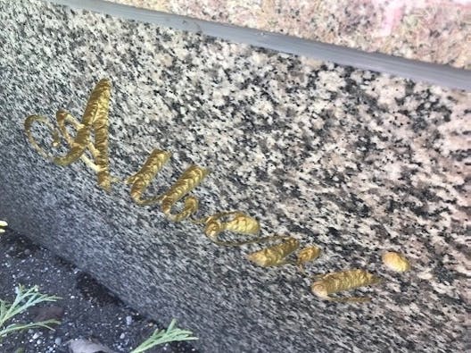 所沢市・入間市 樹木葬「アルベリ」