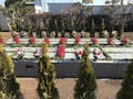 所沢市・入間市 樹木葬「アルベリ」 ご自由に献花・焼香が出来ます。