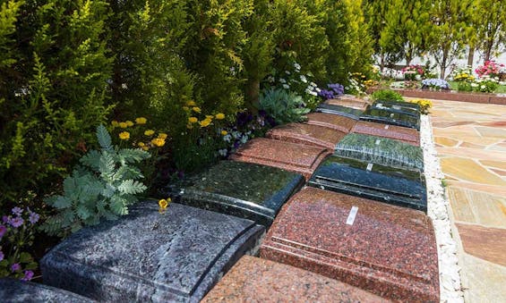 小田原樹木葬てらす