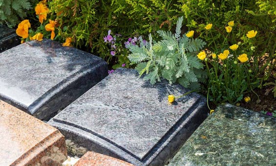 小田原樹木葬てらす