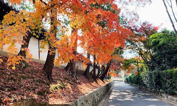 東福寺塔頭「正覚庵」