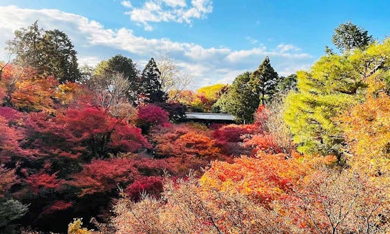 東福寺塔頭「正覚庵」