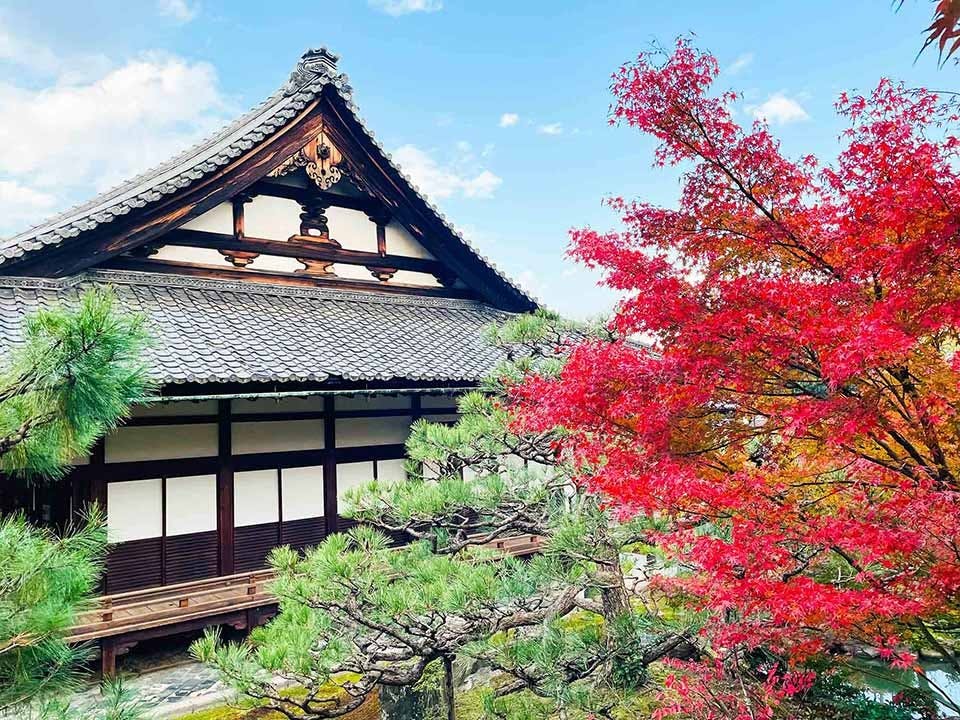 建仁寺塔頭「両足院」