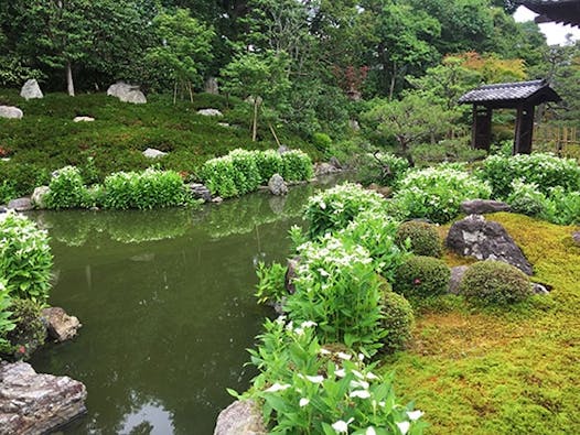 建仁寺塔頭「両足院」