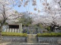 清浄寺霊苑 桜に囲まれた美しい霊苑です