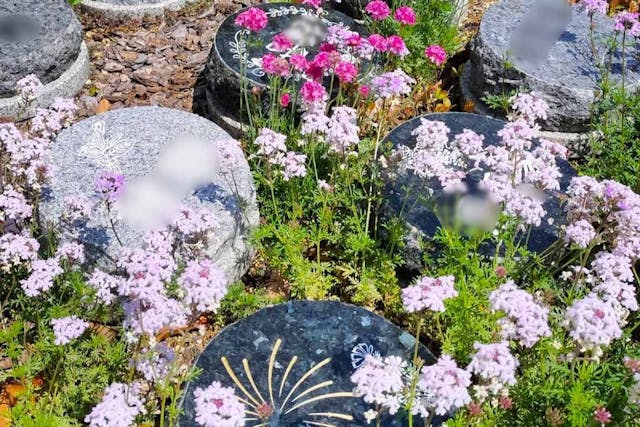 湘南江ノ島安らぎ霊園 湘南江ノ島樹木葬プラチナヒルズ
