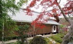 大本山東福寺塔頭 願成寺永代祠堂「寿光殿」 秋の時期の庭園を、美しい紅葉が彩ります