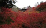 大本山東福寺塔頭 願成寺永代祠堂「寿光殿」 東福寺は世界的に紅葉の名所として有名で、毎年多くの観光客でにぎわいます