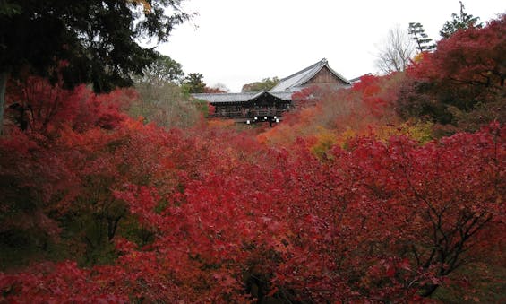 大本山東福寺塔頭 願成寺永代祠堂「寿光殿」