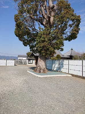 興山寺霊園 永代供養墓