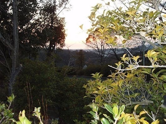 道後聖墓苑北霊域