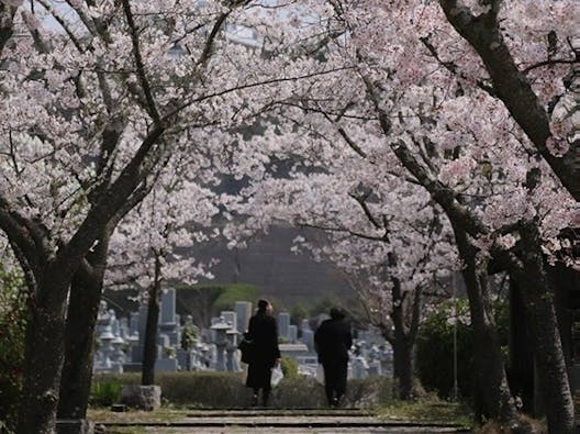 道後聖墓苑北霊域