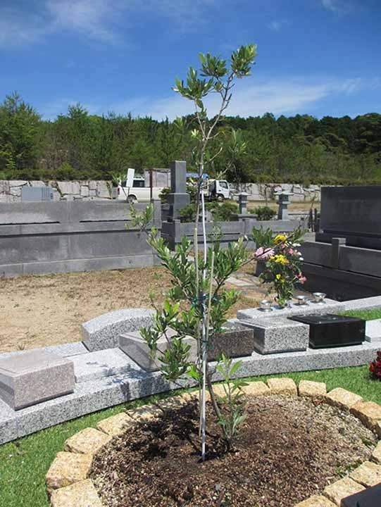 南山やすらぎ霊園 永代供養付き 樹木葬オリーブ