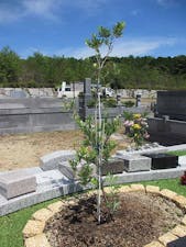 南山やすらぎ霊園 樹木葬・永代管理墓オリーブの画像