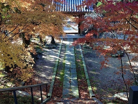 正源寺 樹木葬墓地