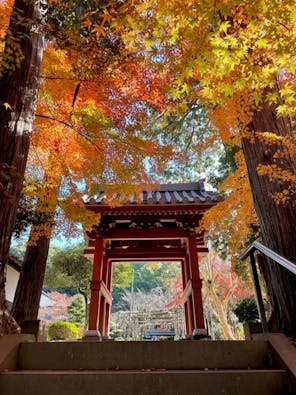 正源寺 樹木葬墓地