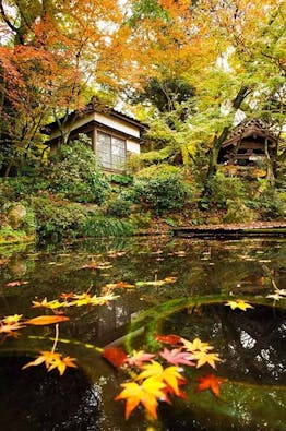 正源寺 樹木葬墓地