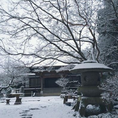 正源寺 樹木葬墓地