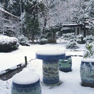 正源寺 樹木葬墓地