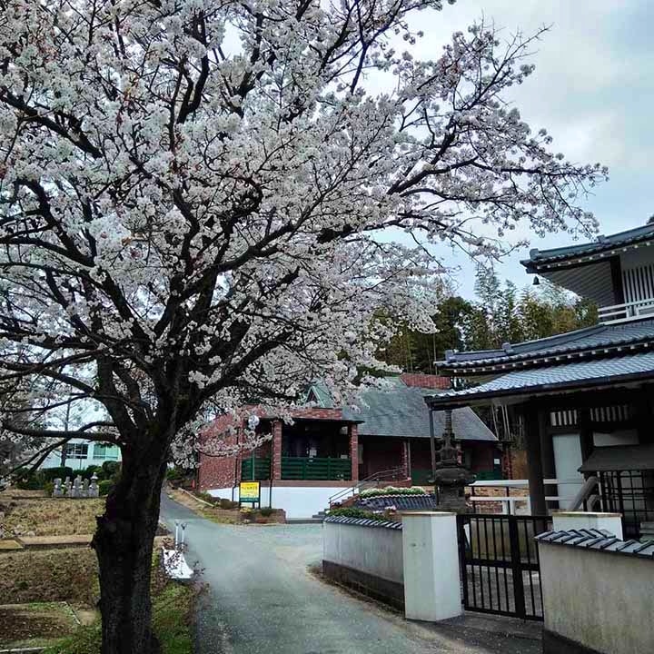 正源寺 樹木葬墓地