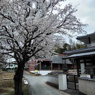 正源寺 樹木葬墓地