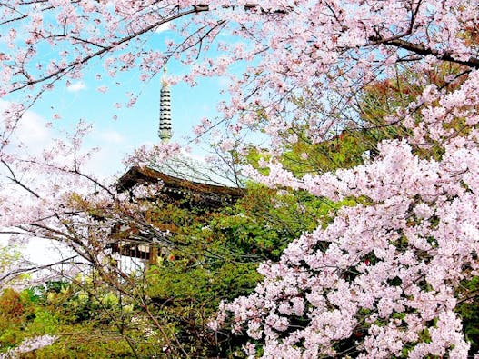 三宝山 瑞光寺 納骨堂