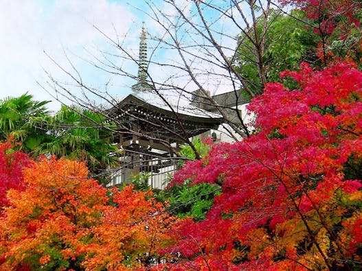 三宝山 瑞光寺 納骨堂