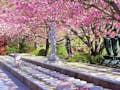 一心寺 樹木葬「夢さくら」 桜色の絶景に包まれ、観音様とお地蔵様が見守る樹木葬墓地です。