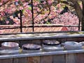 一心寺 樹木葬「夢さくら」 樹木葬の墓所は、春になると優しい桃色の八重桜に包まれます。