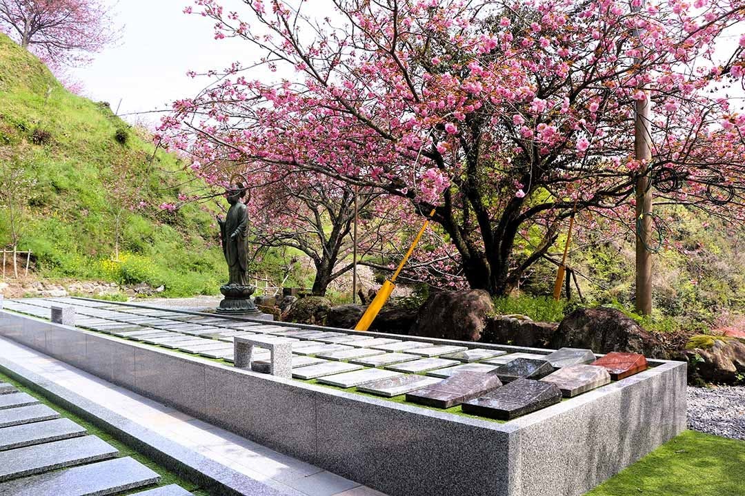 一心寺 樹木葬「夢さくら」